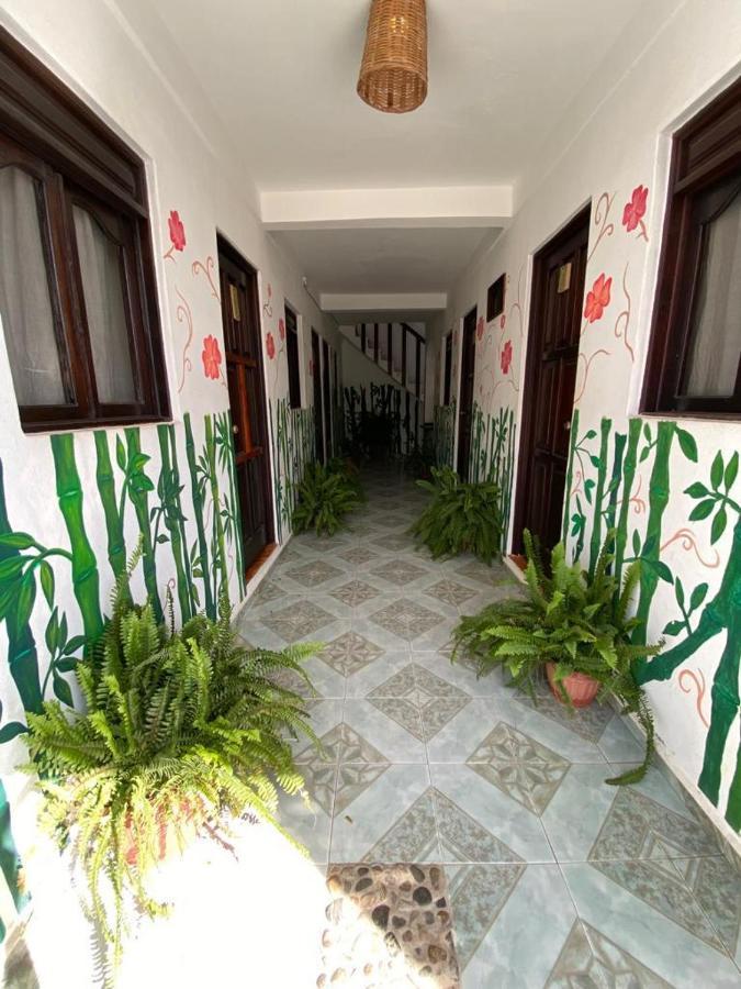 Chaak Hostel ปูแอร์โตเอสกอนดิโด ภายนอก รูปภาพ