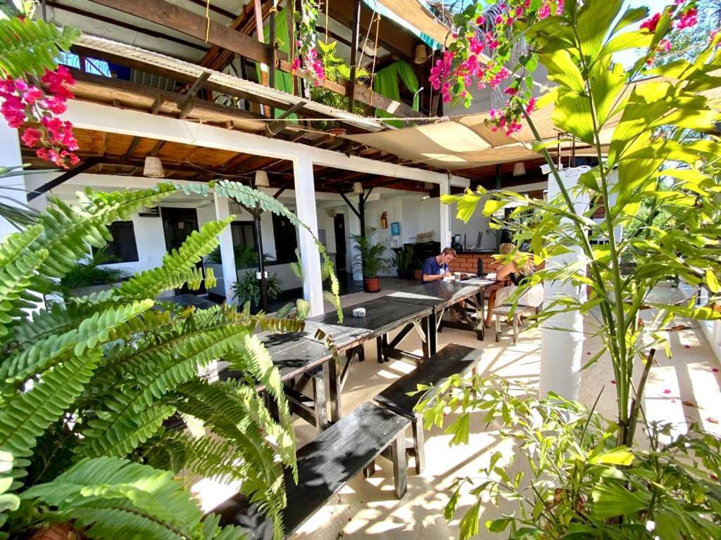 Chaak Hostel ปูแอร์โตเอสกอนดิโด ภายนอก รูปภาพ